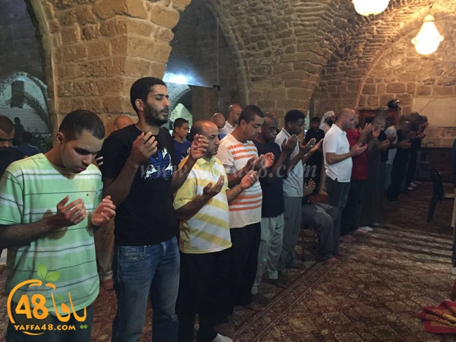 qader yaffa msajed (14).jpg